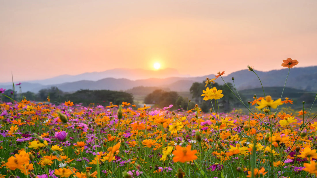 Spring Clean Your Social Media