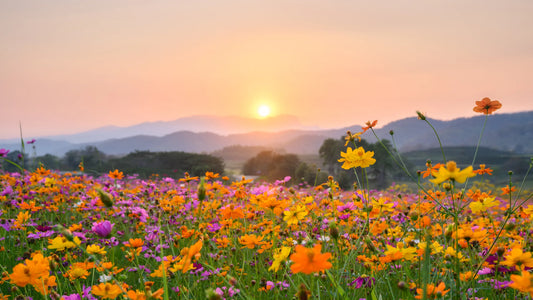 Spring Clean Your Social Media
