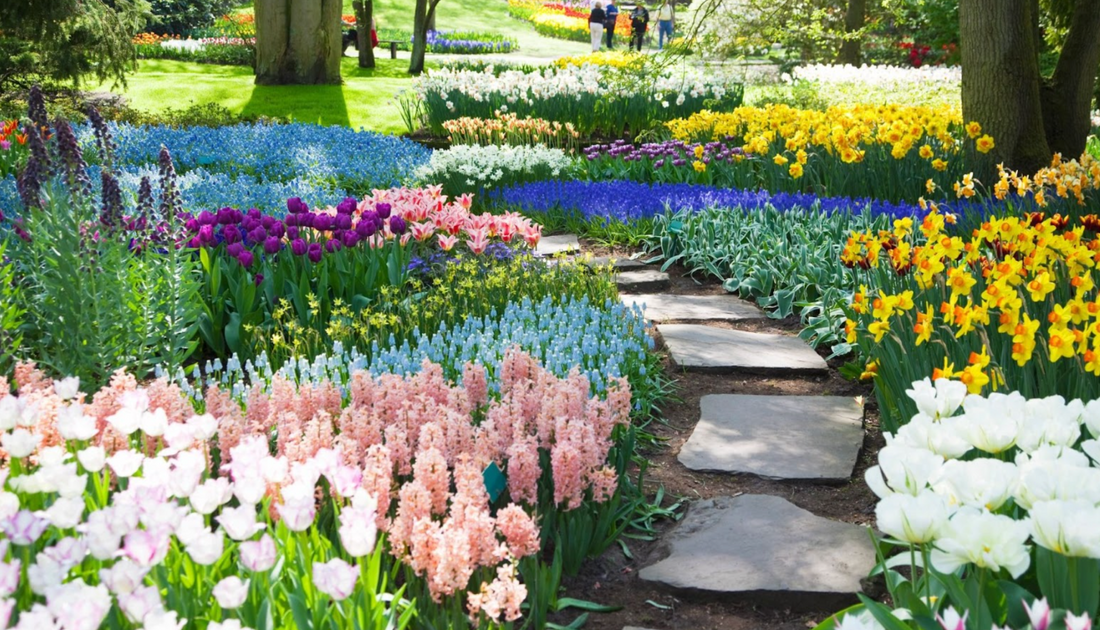 April Showers Bring May Flowers: How Starting Now Leads to Marketing Success